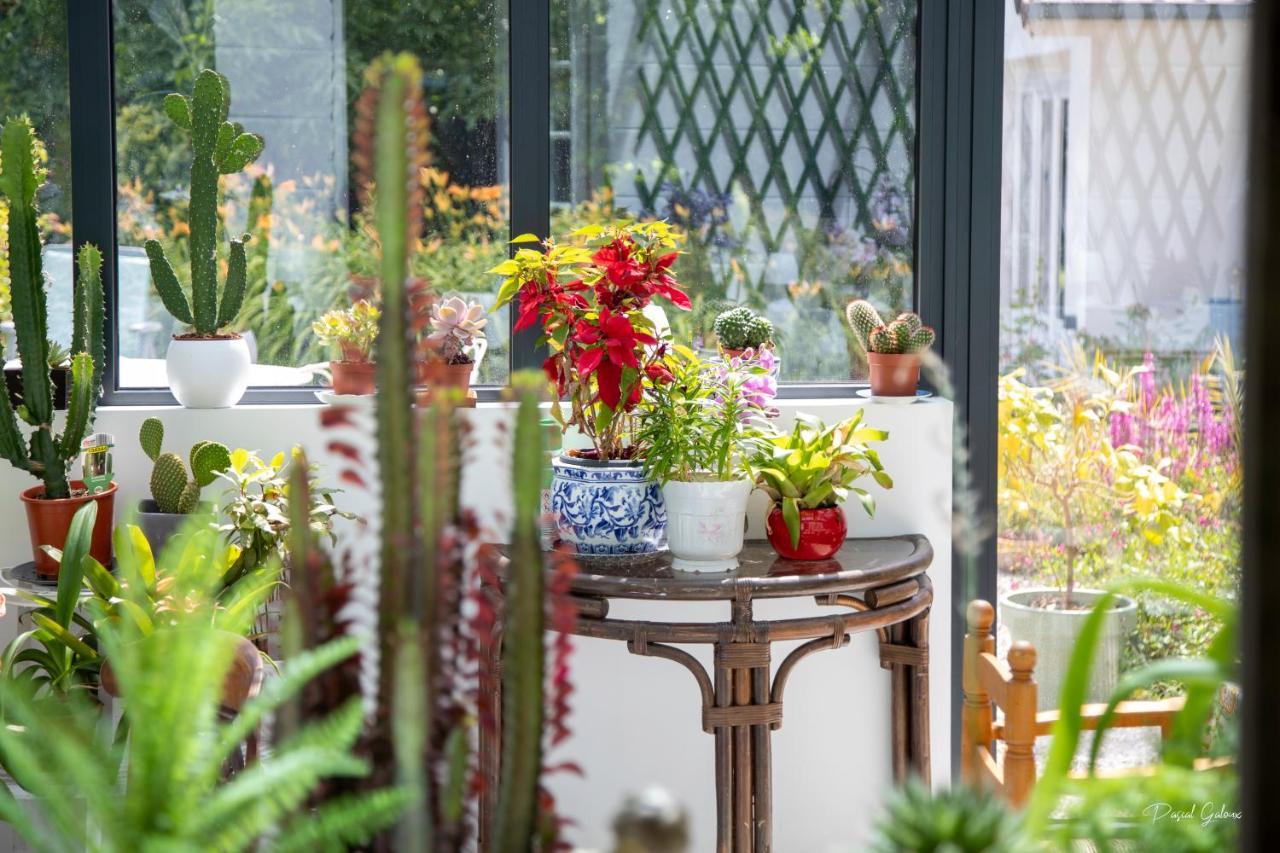 Villa Marguerite 65 Rue Legout Lesage 76260 Ponts Et Marais Exteriér fotografie